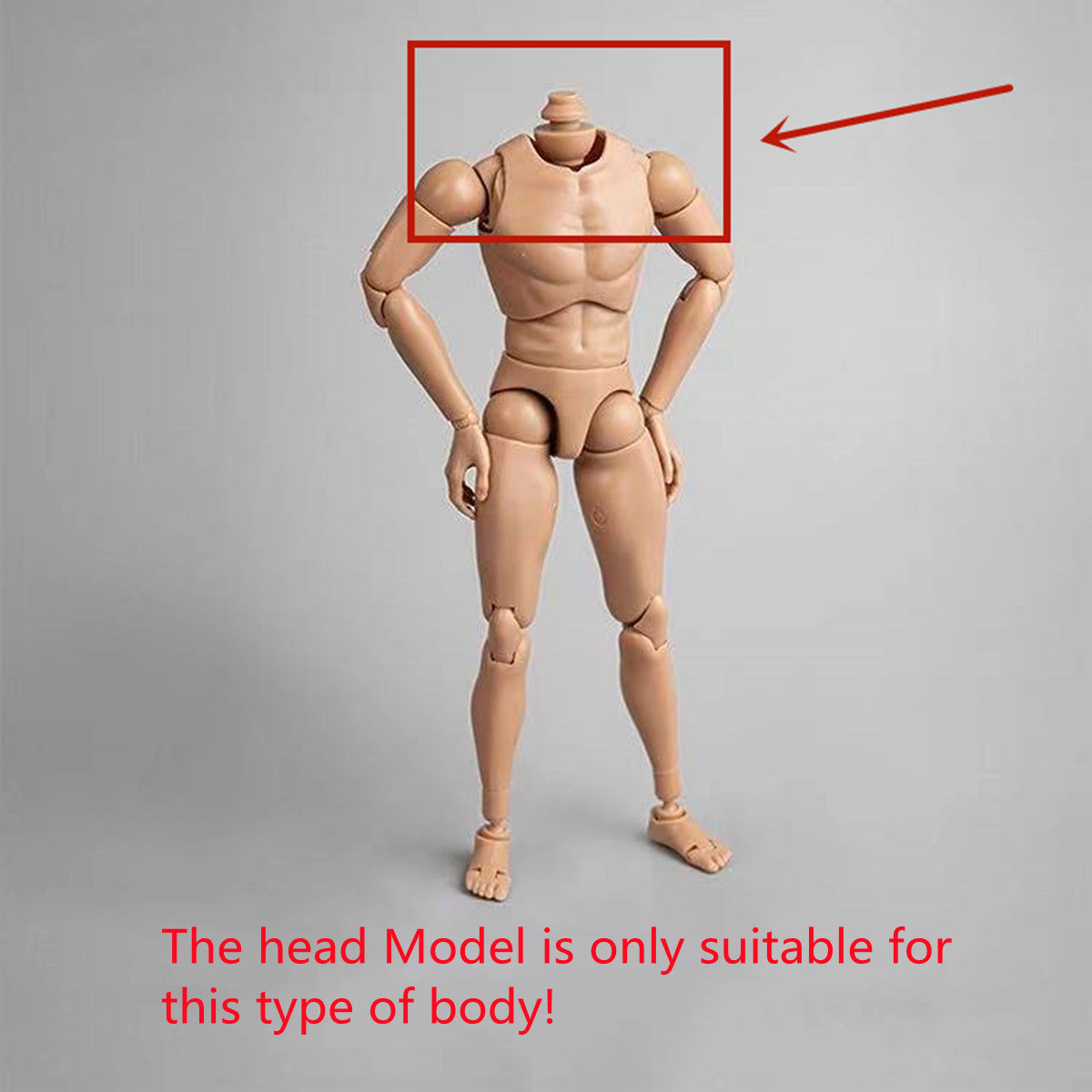 Mostoys 1/6 Sphynx Head Figure