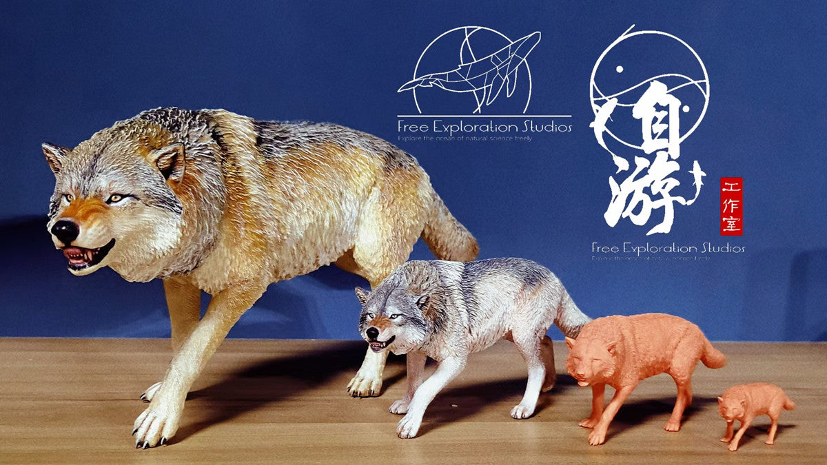 1/6 American Grey Wolf Model