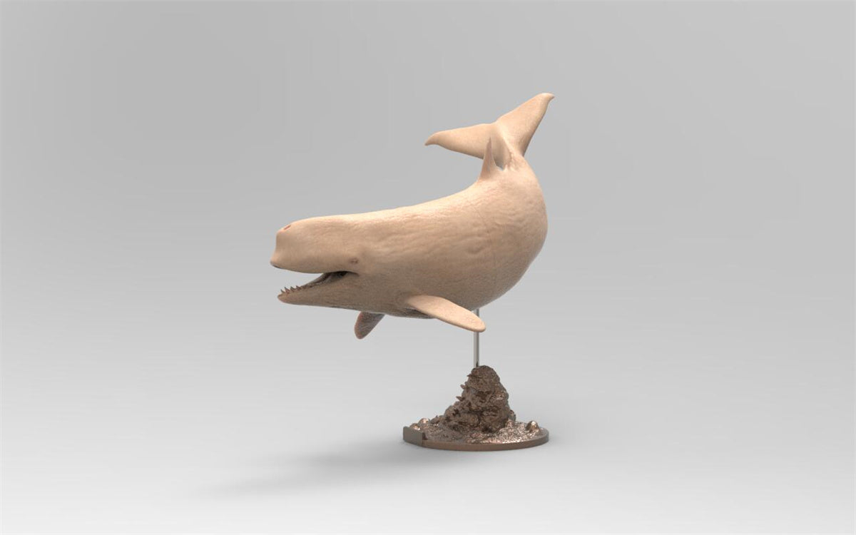 Rheic 1/35 Brygmophyseter Model