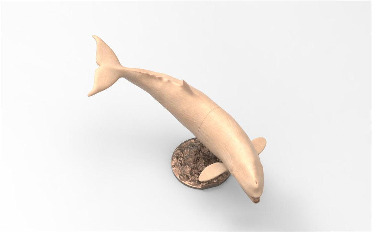 Rheic 1/35 Brygmophyseter Model