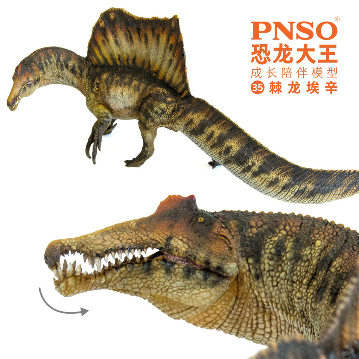 PNSO Spinosaurus Model