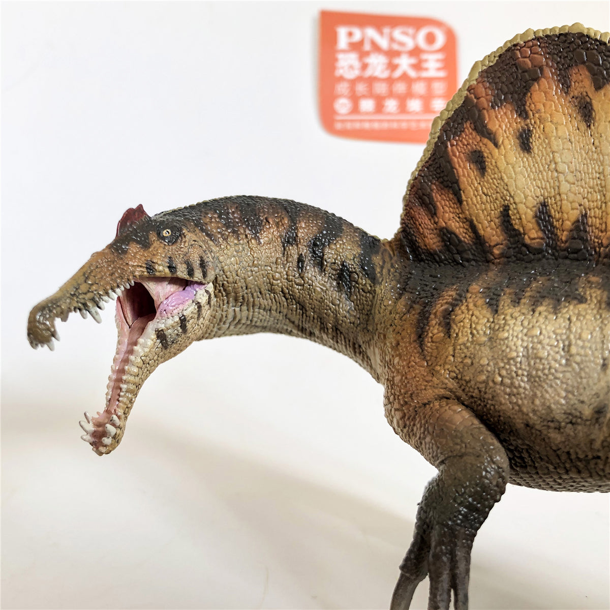 PNSO Spinosaurus Model