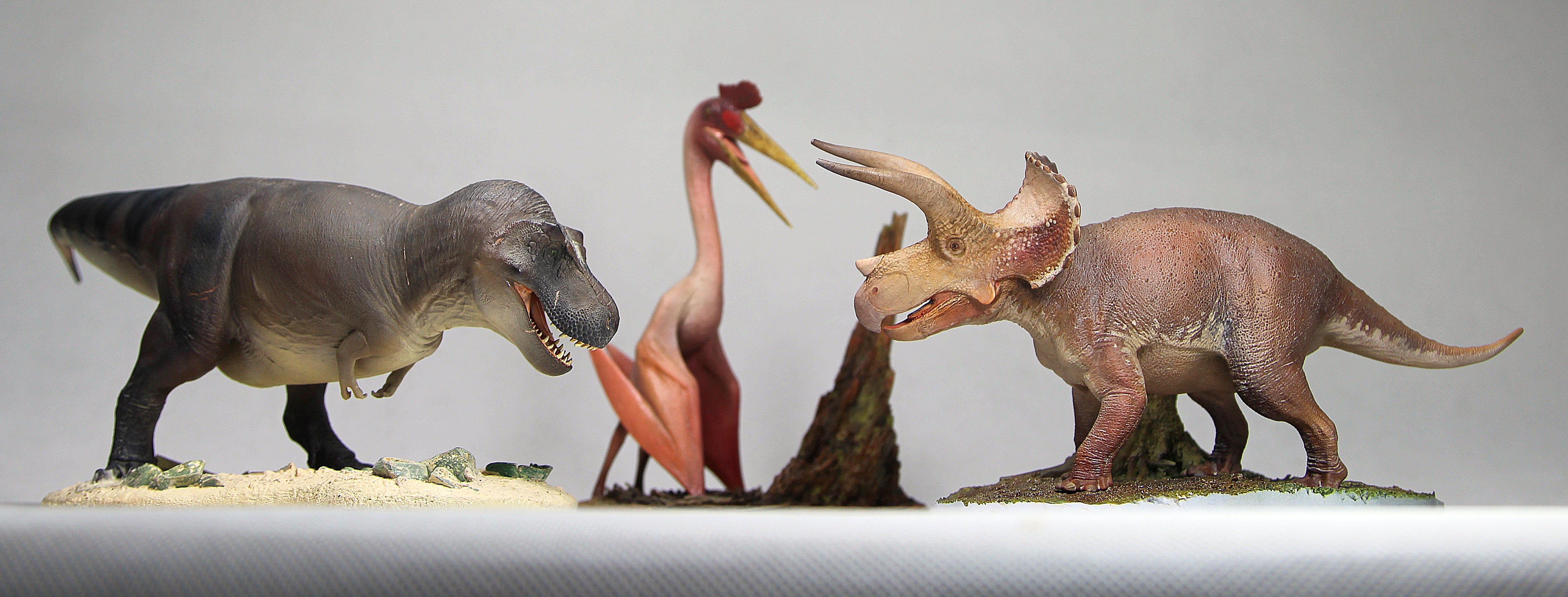 De CLAY Studio Triceratops prorsus Scene Statue Kit