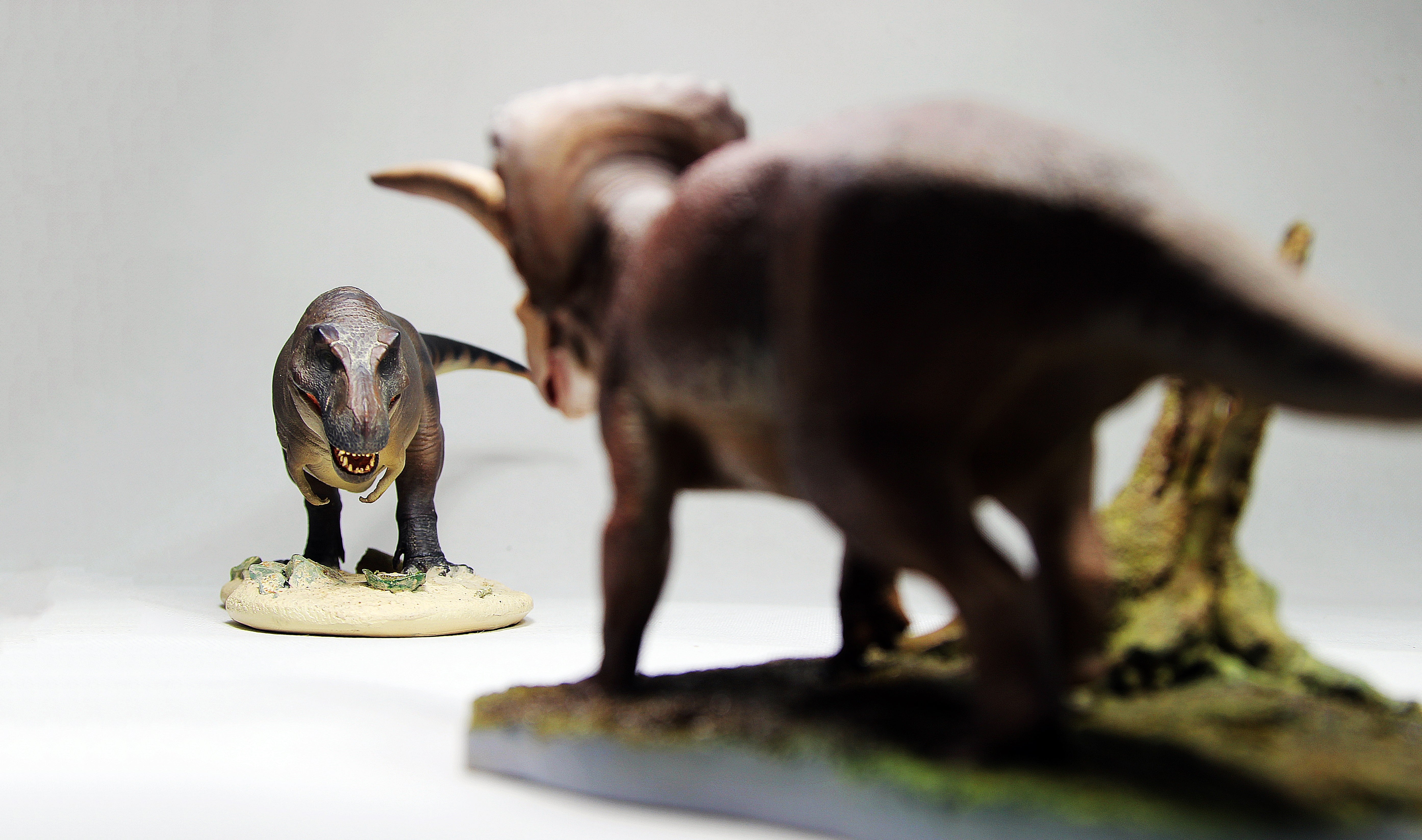 De CLAY Studio Triceratops prorsus Scene Statue Kit