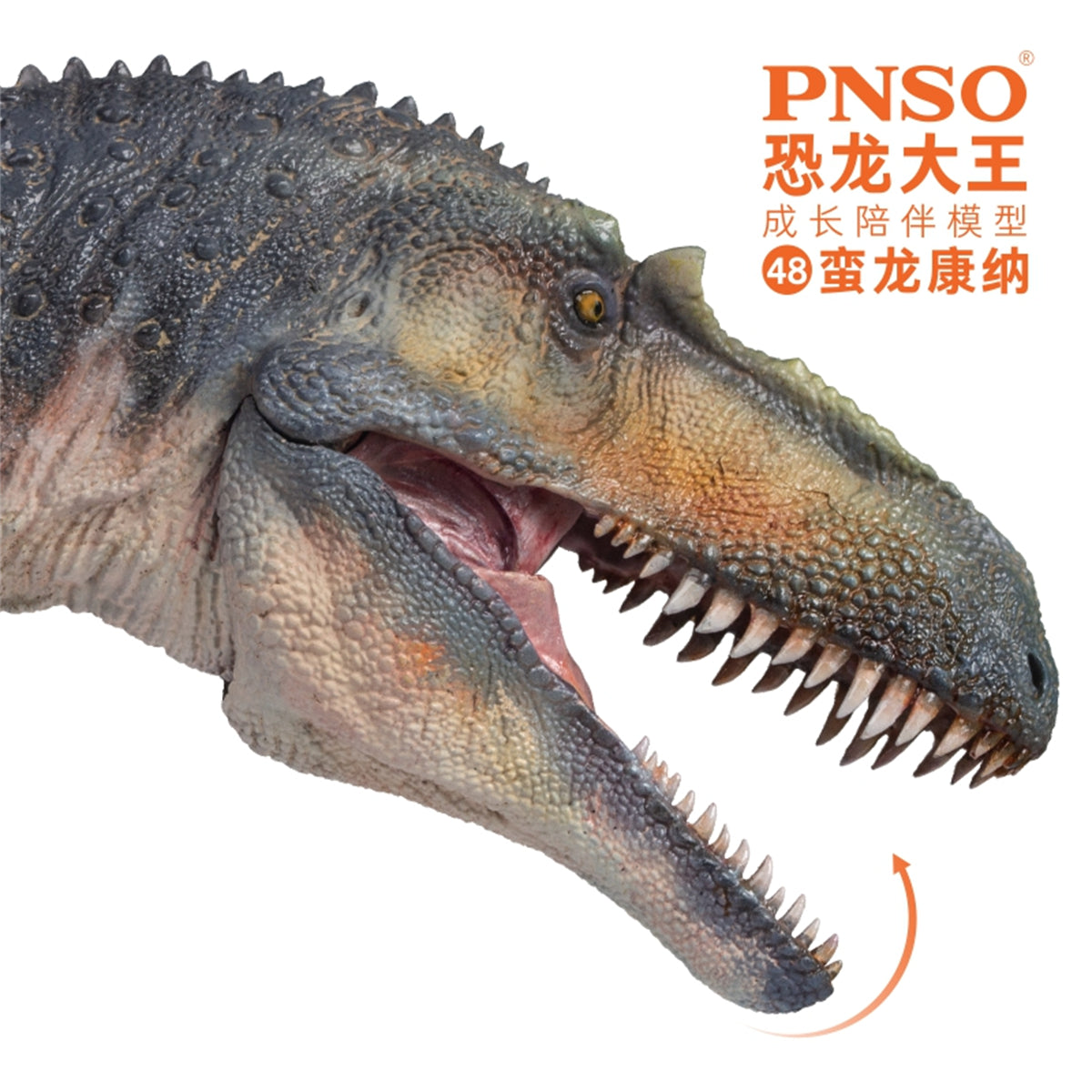 PNSO Torvosaurus Connor Model