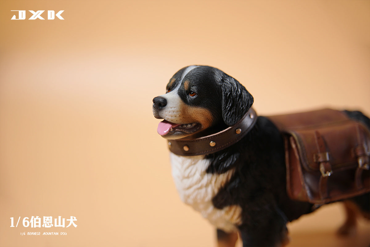 JXK 1/6 Bernese Mountain Dog Model
