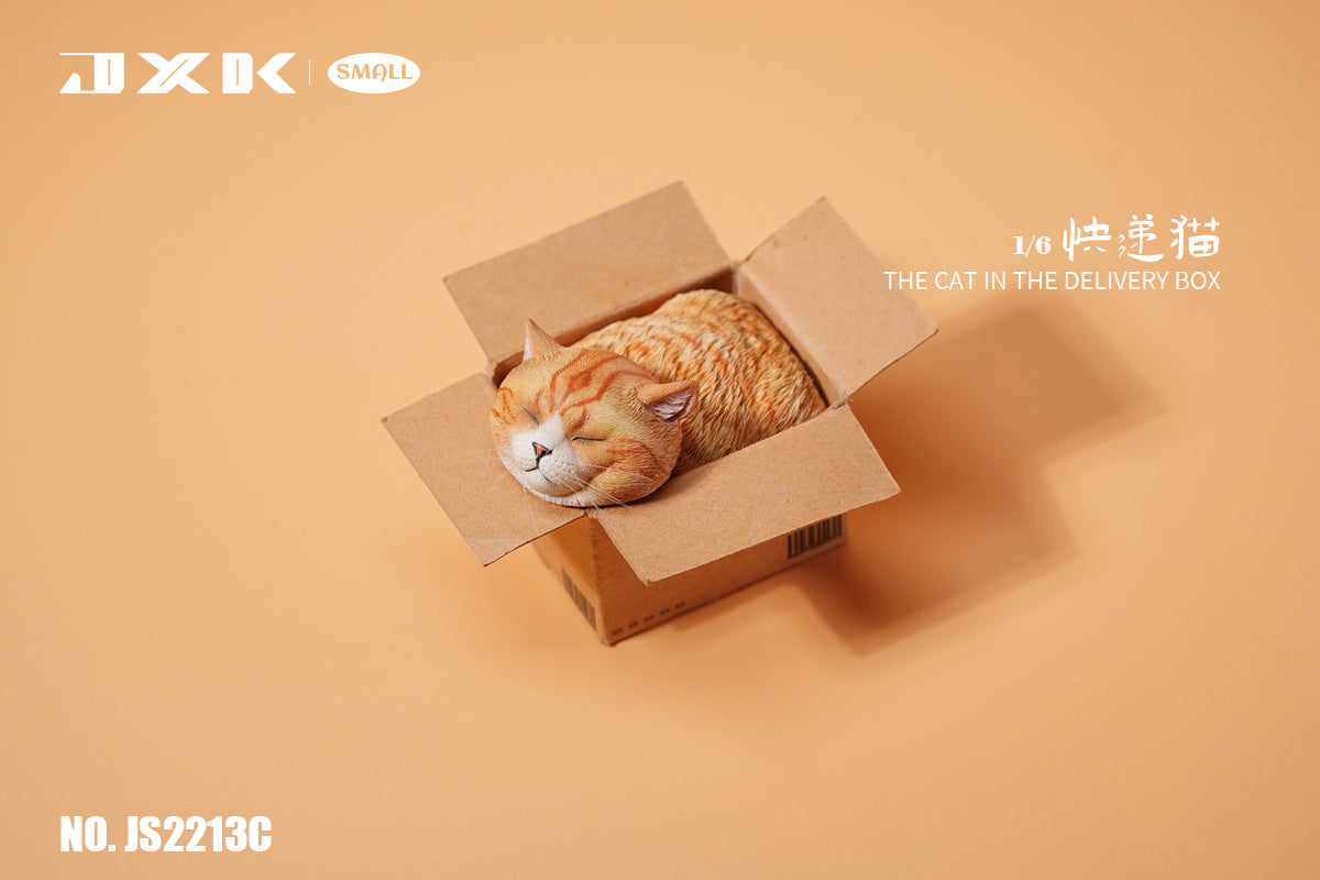 JXK The Cat In The Delivery Box Model
