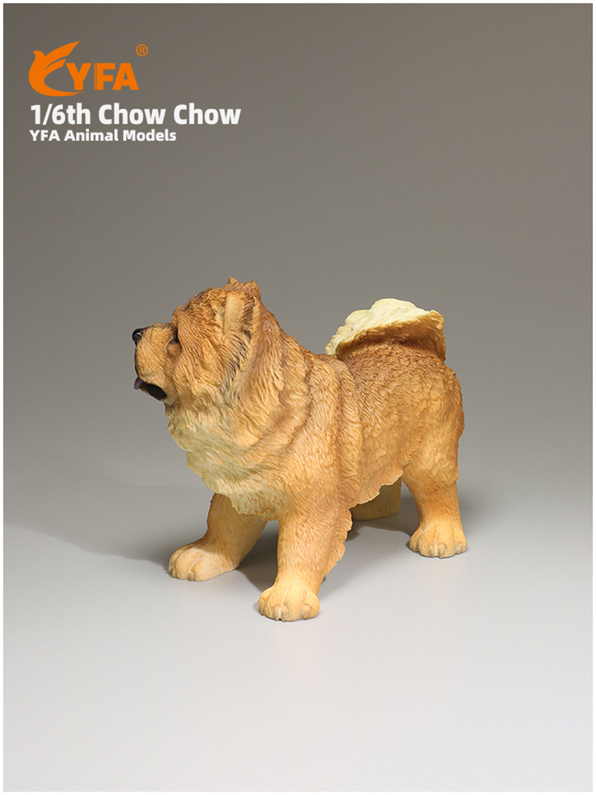 JJM 1/6 Chow Chow Dog Model