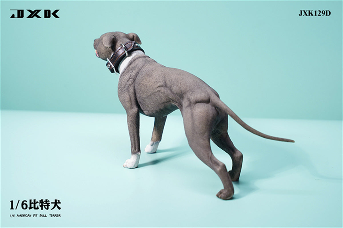 JXK 1/6 American Pit Bull Terrier Model