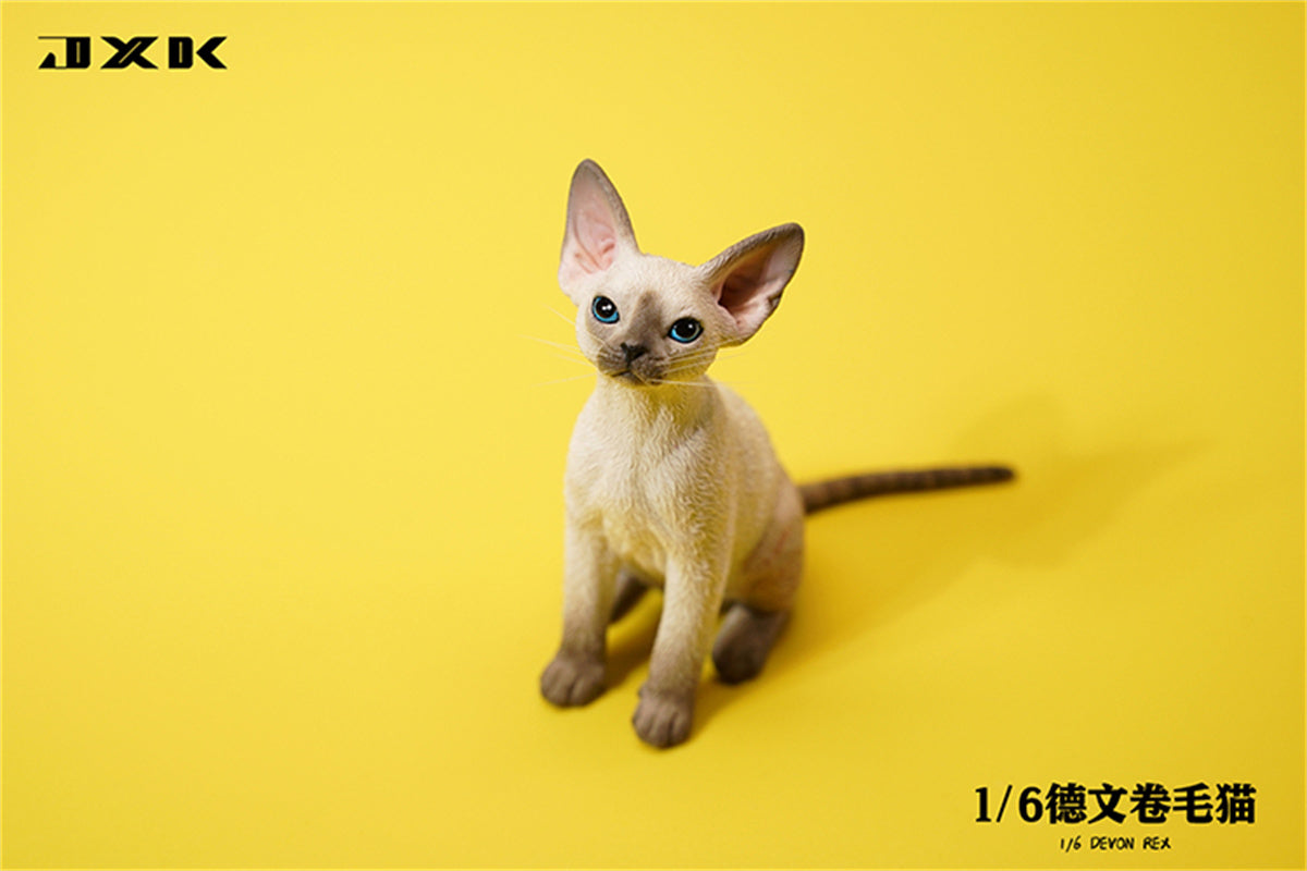 JXK 1/6 Devon Rex Model