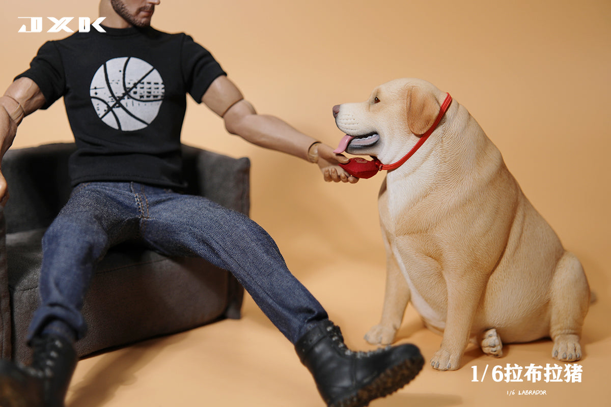 JXK 1/6 Labrador Model