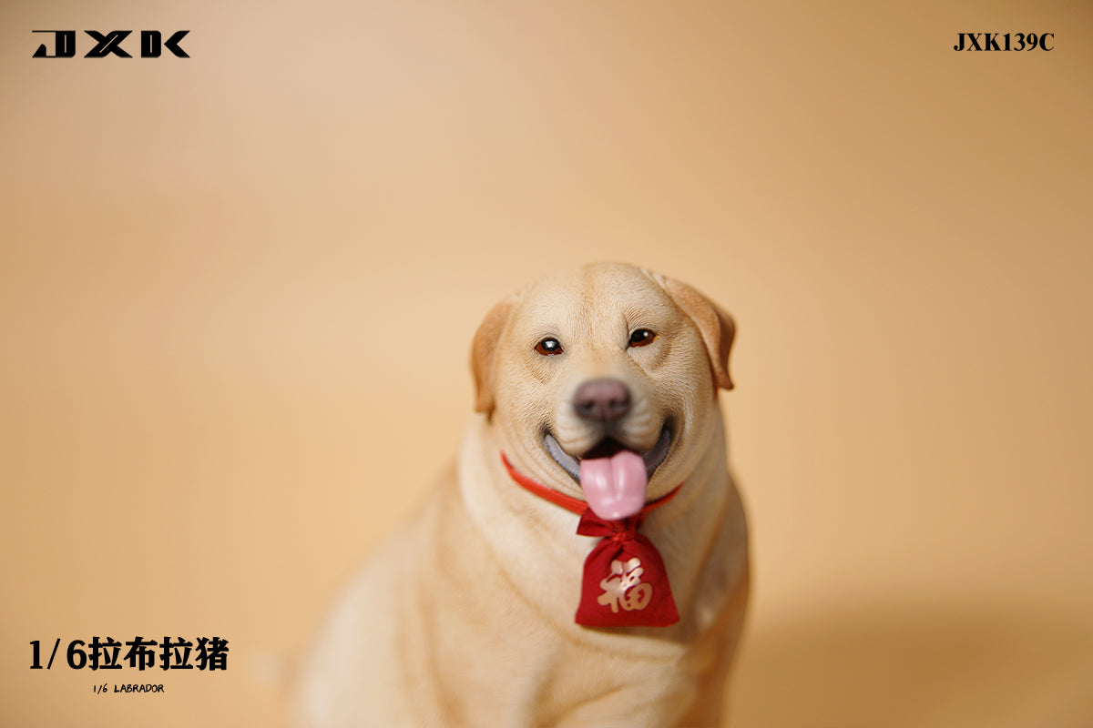 JXK 1/6 Labrador Model