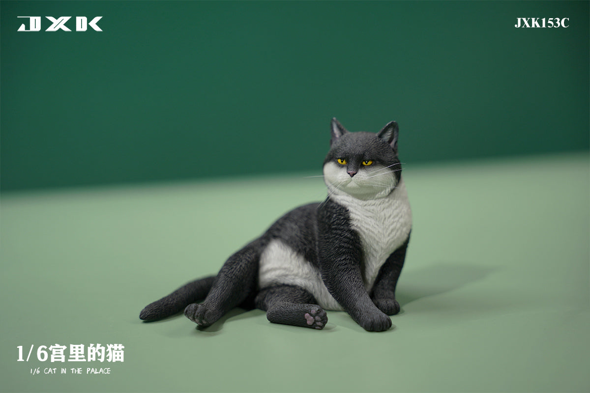 JXK 1/6 Cat In The Place Model