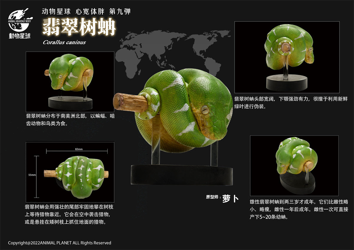 Animal Planet 09 Snake 2.0 Blind Box Model