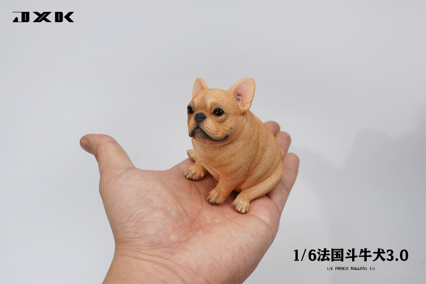 JXK 1/6 French Bulldog 3.0 Model