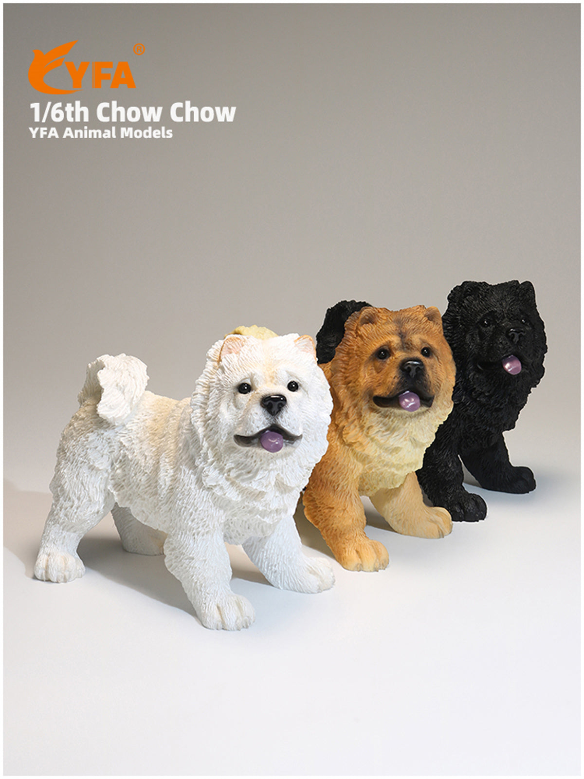 JJM 1/6 Chow Chow Dog Model