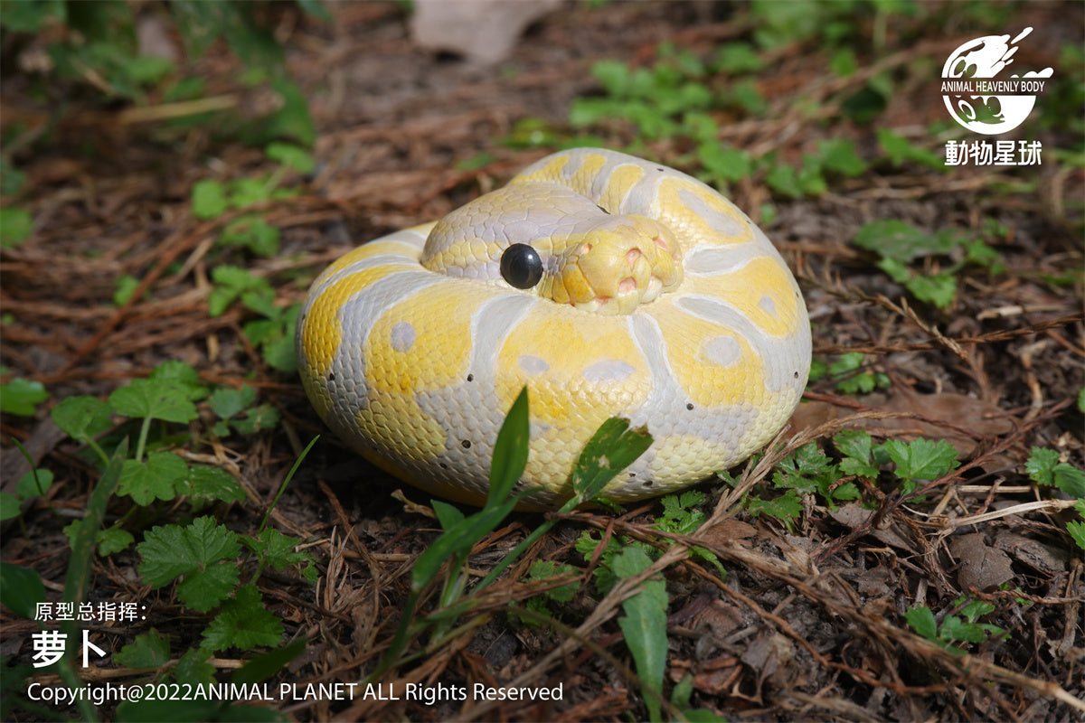 Animal Planet 09 Snake 2.0 Blind Box Model