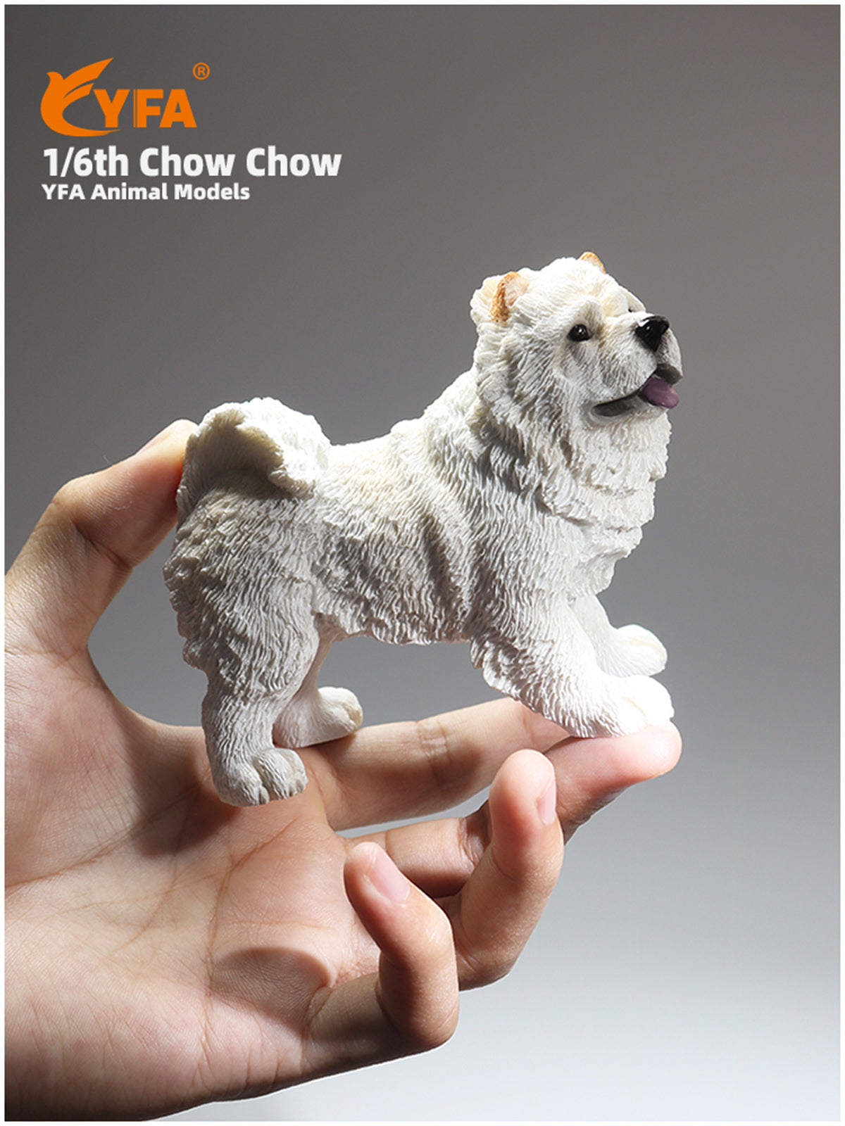 JJM 1/6 Chow Chow Dog Model