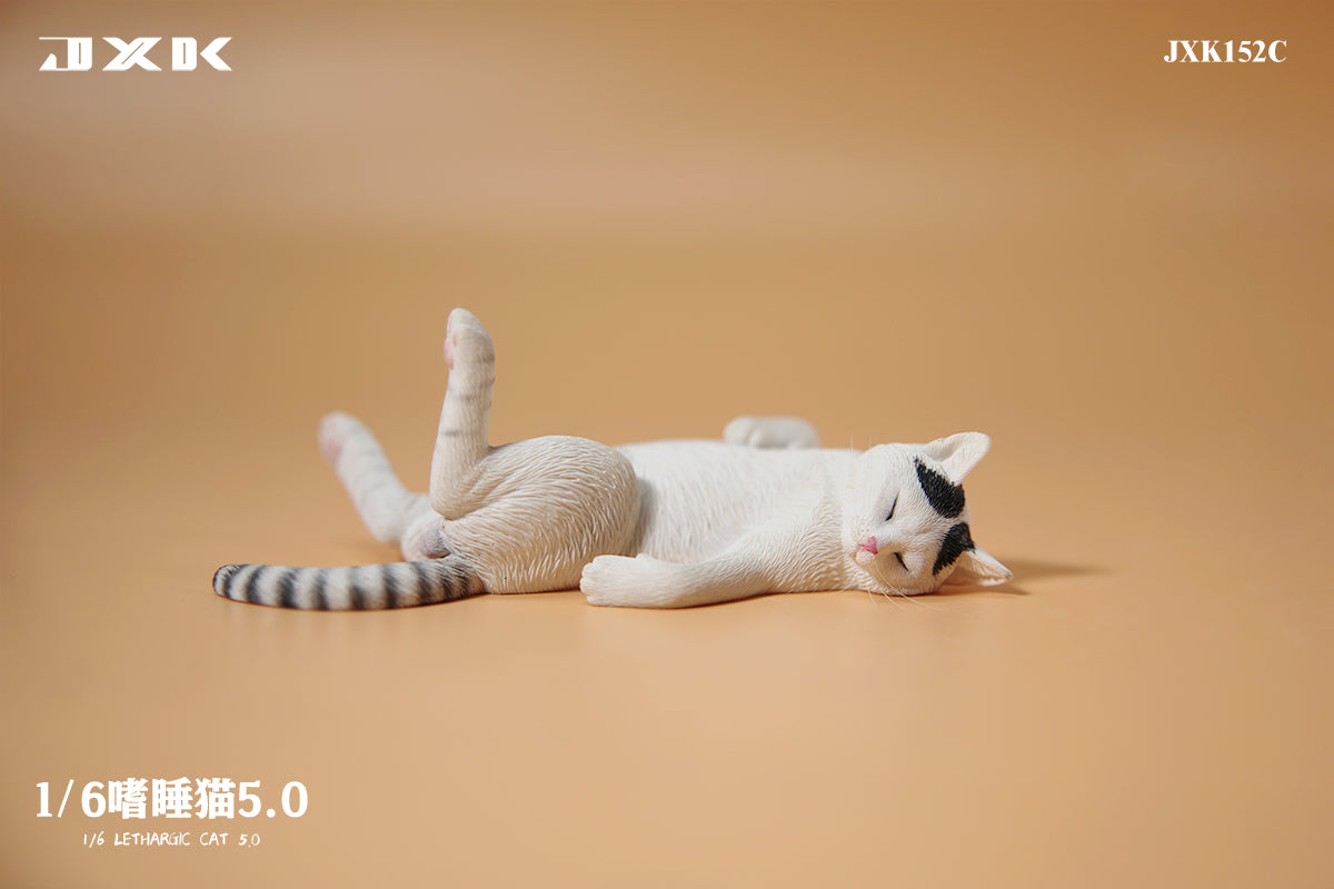 JXK 1/6 Lethargic Cat 5.0 Model