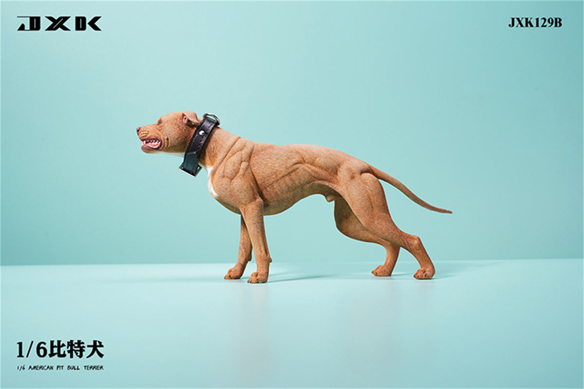 JXK 1/6 American Pit Bull Terrier Model