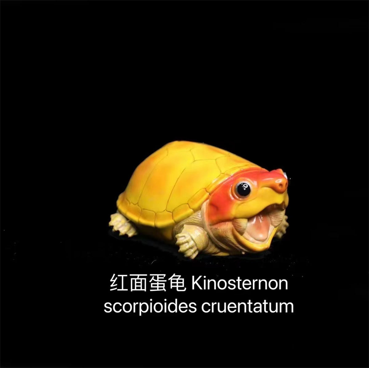 Q Version Turtle Blind Box Model