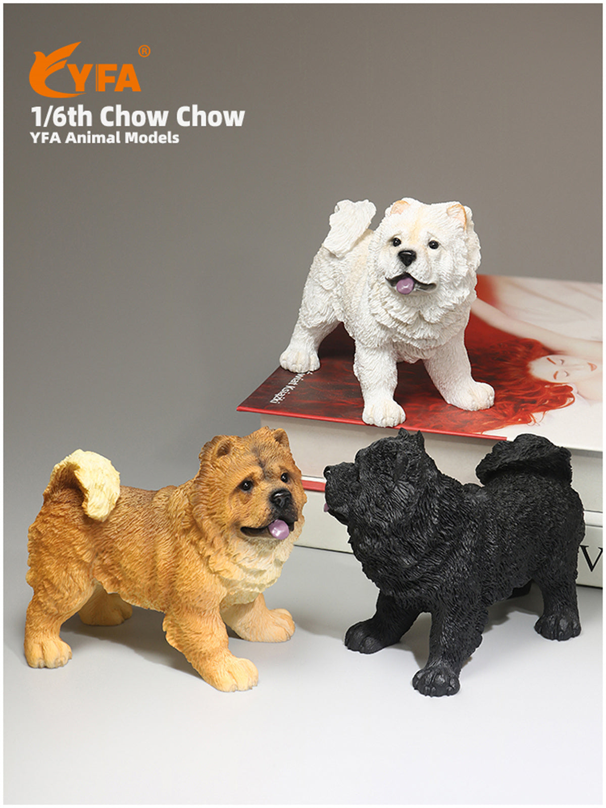 JJM 1/6 Chow Chow Dog Model