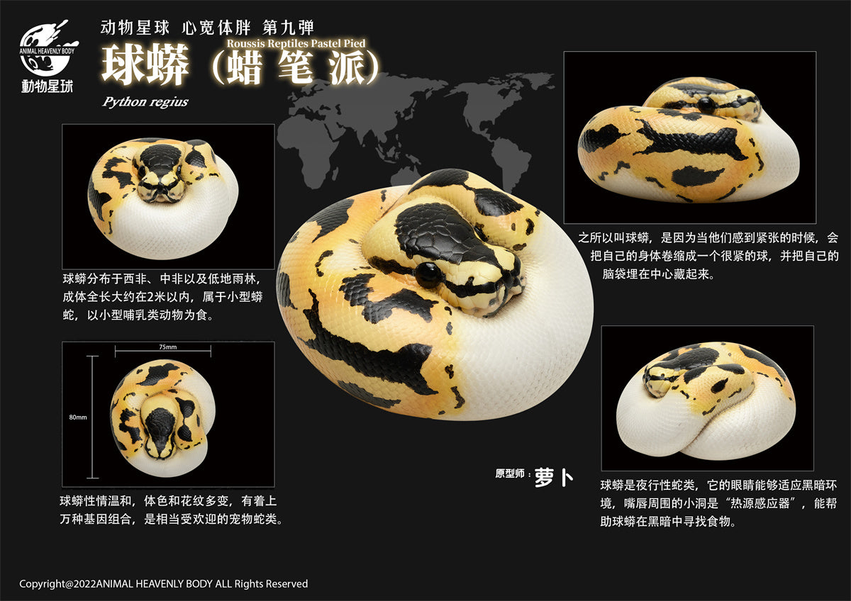 Animal Planet 09 Snake 2.0 Blind Box Model