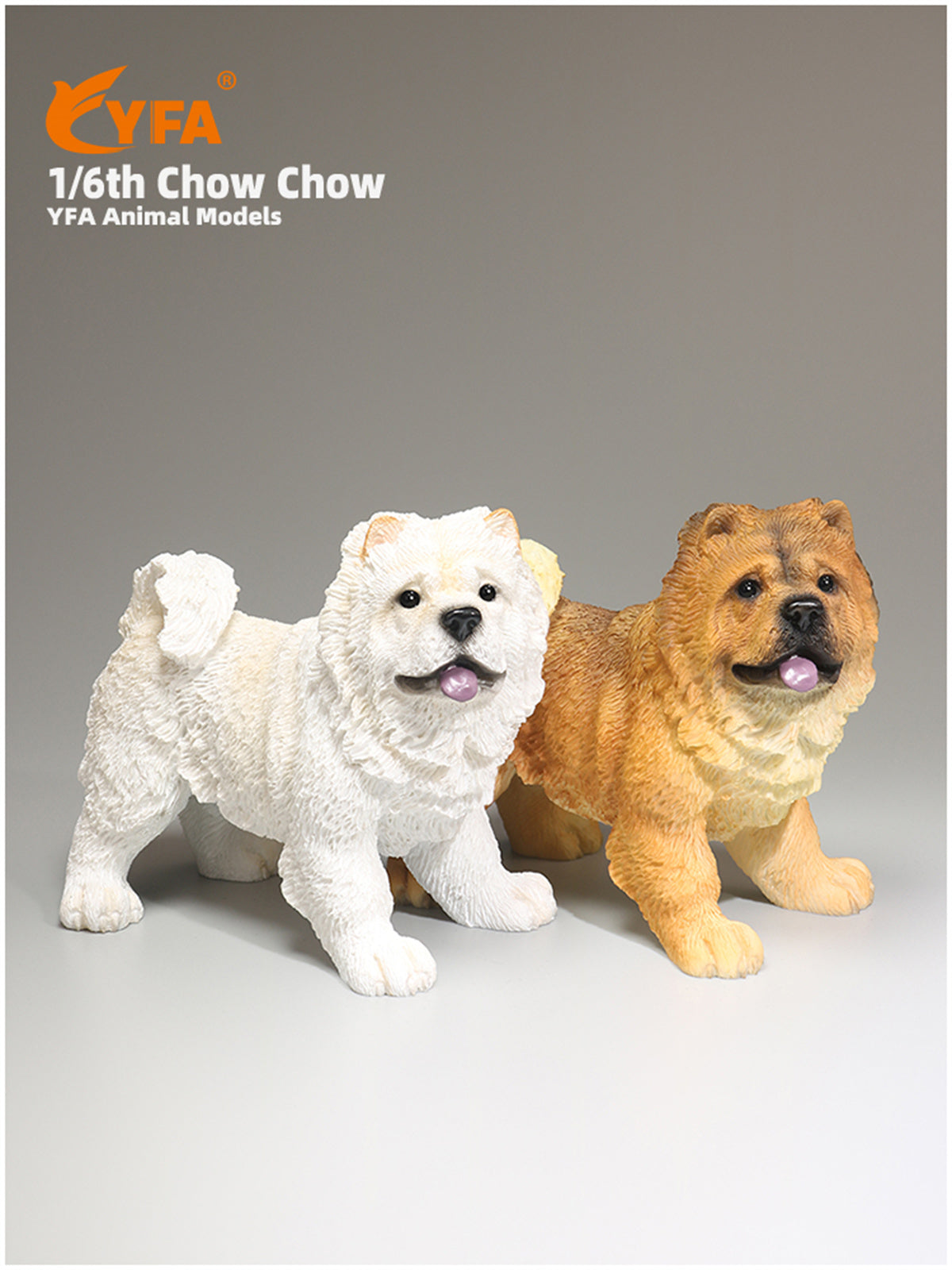 JJM 1/6 Chow Chow Dog Model