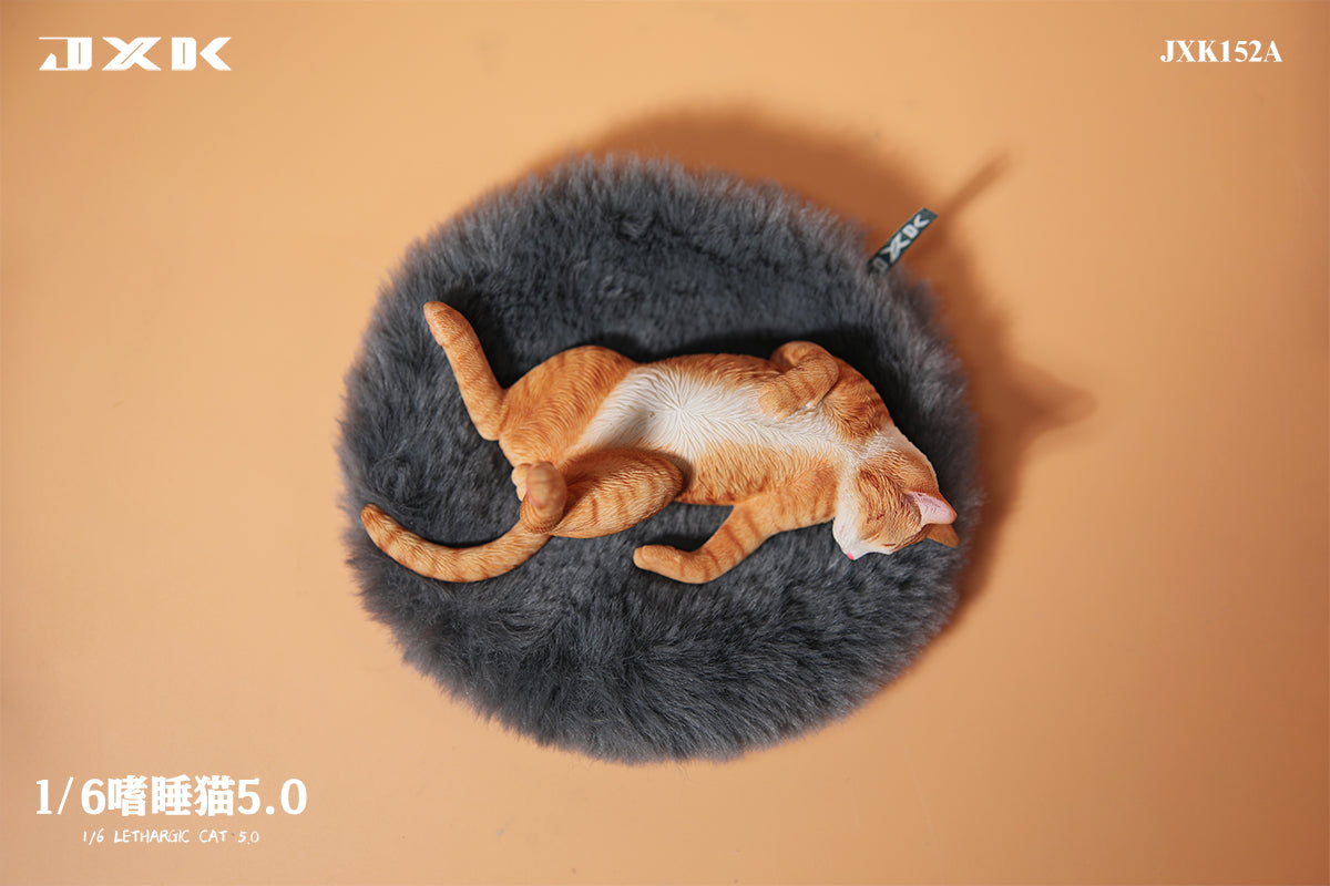 JXK 1/6 Lethargic Cat 5.0 Model