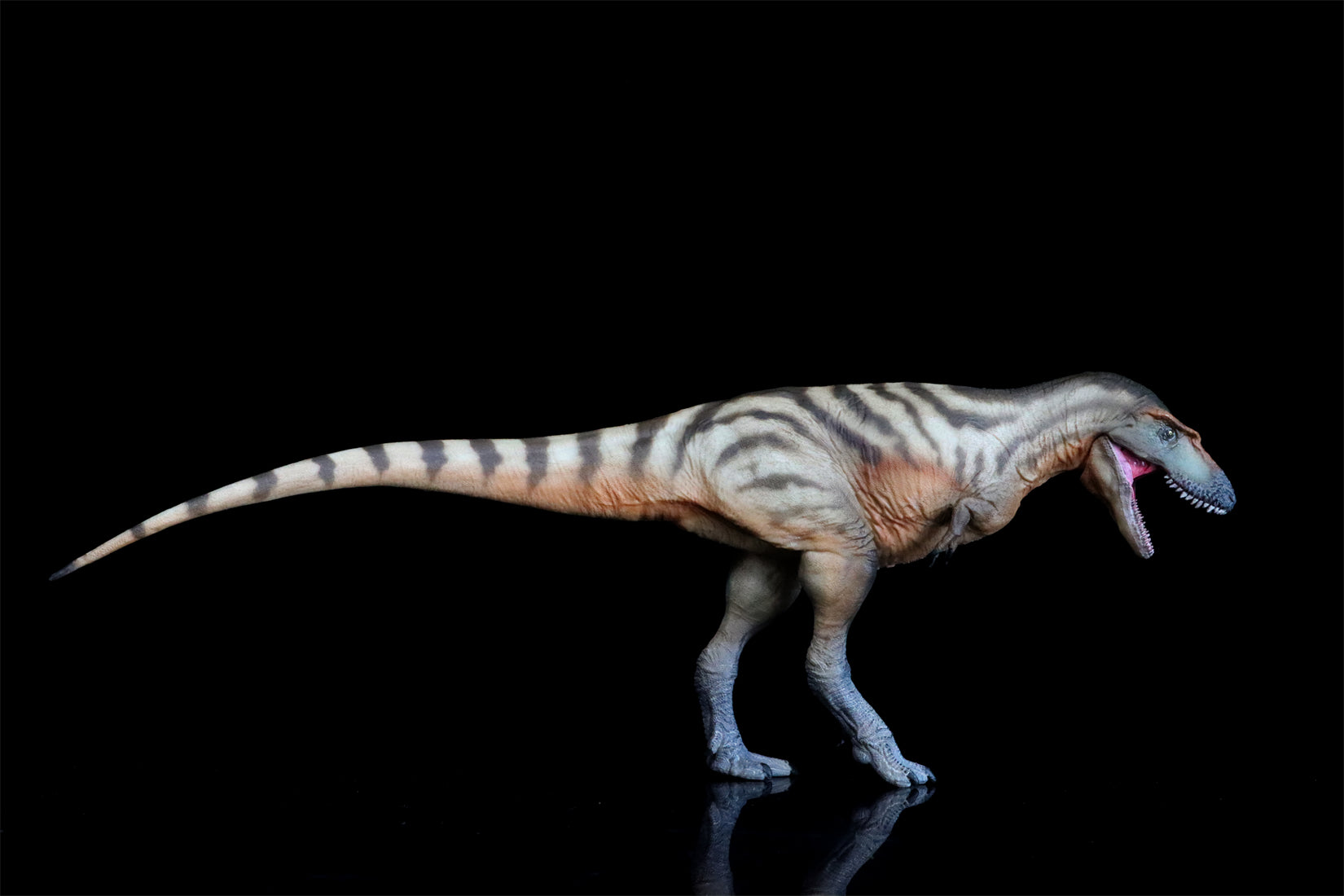 PNSO Gorgosaurus Tristan Model