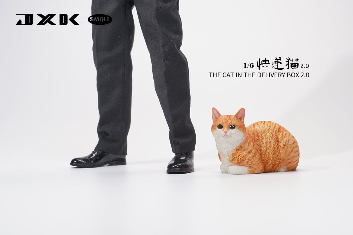 JXK Small The Cat In The Delivery Box 2.0 Model