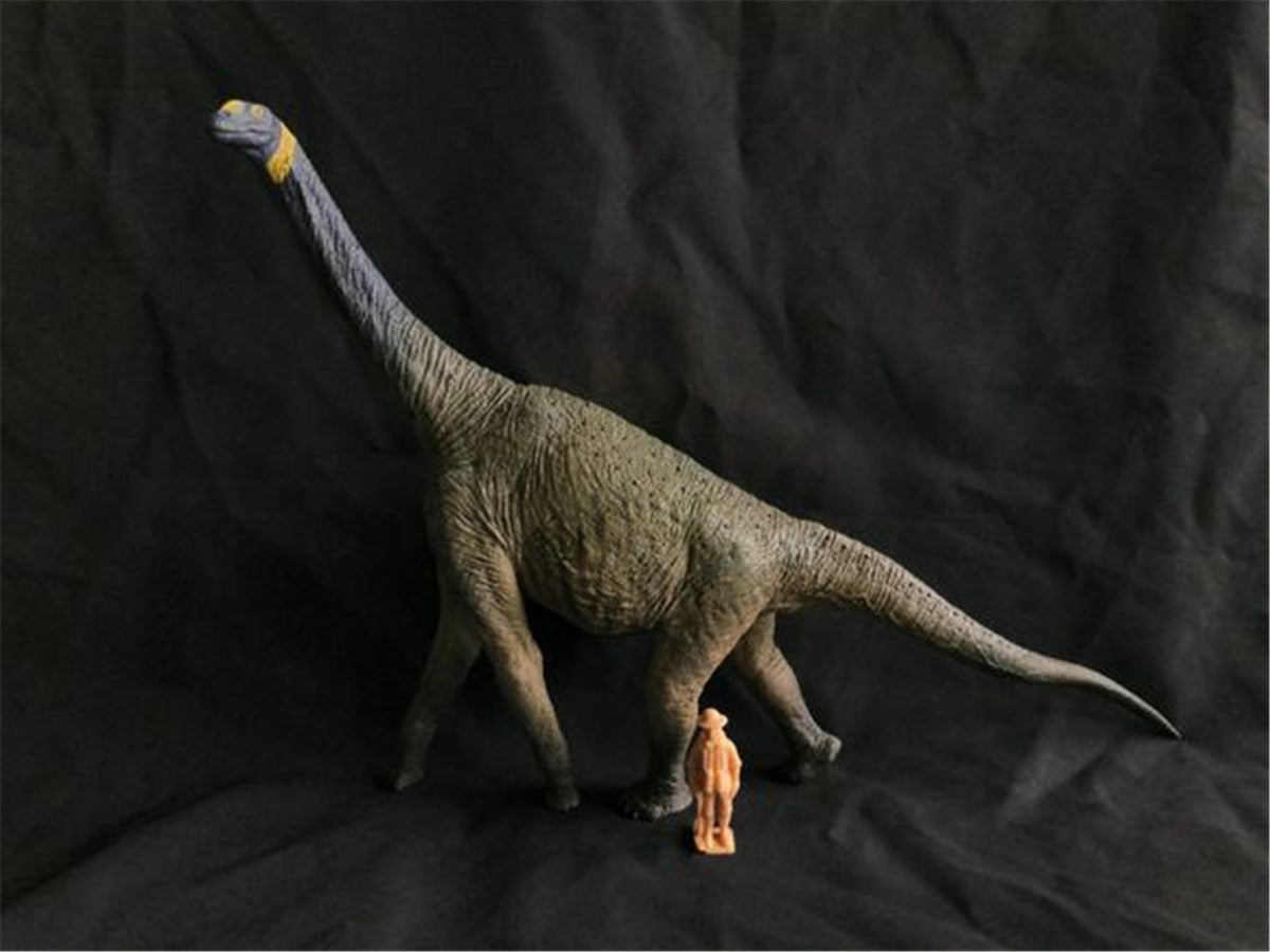 Eofauna 1:40 Scale Atlasaurus Statue