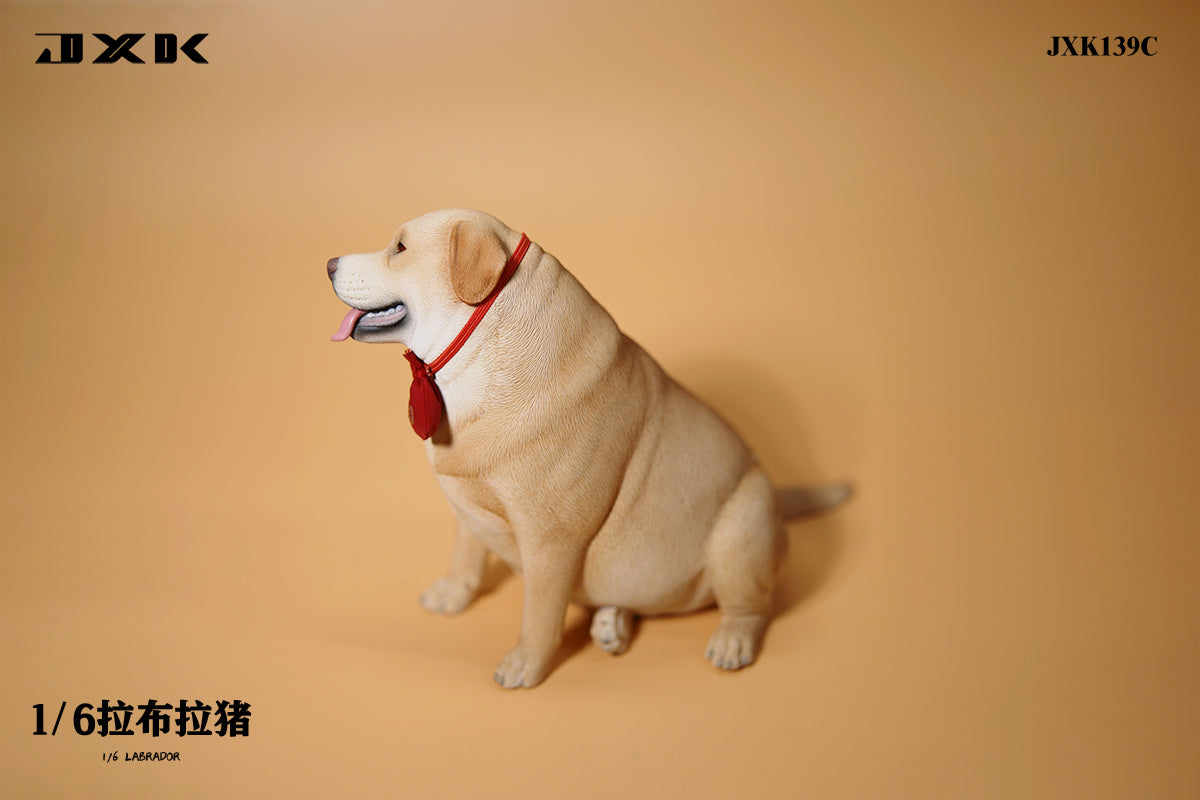 JXK 1/6 Labrador Model