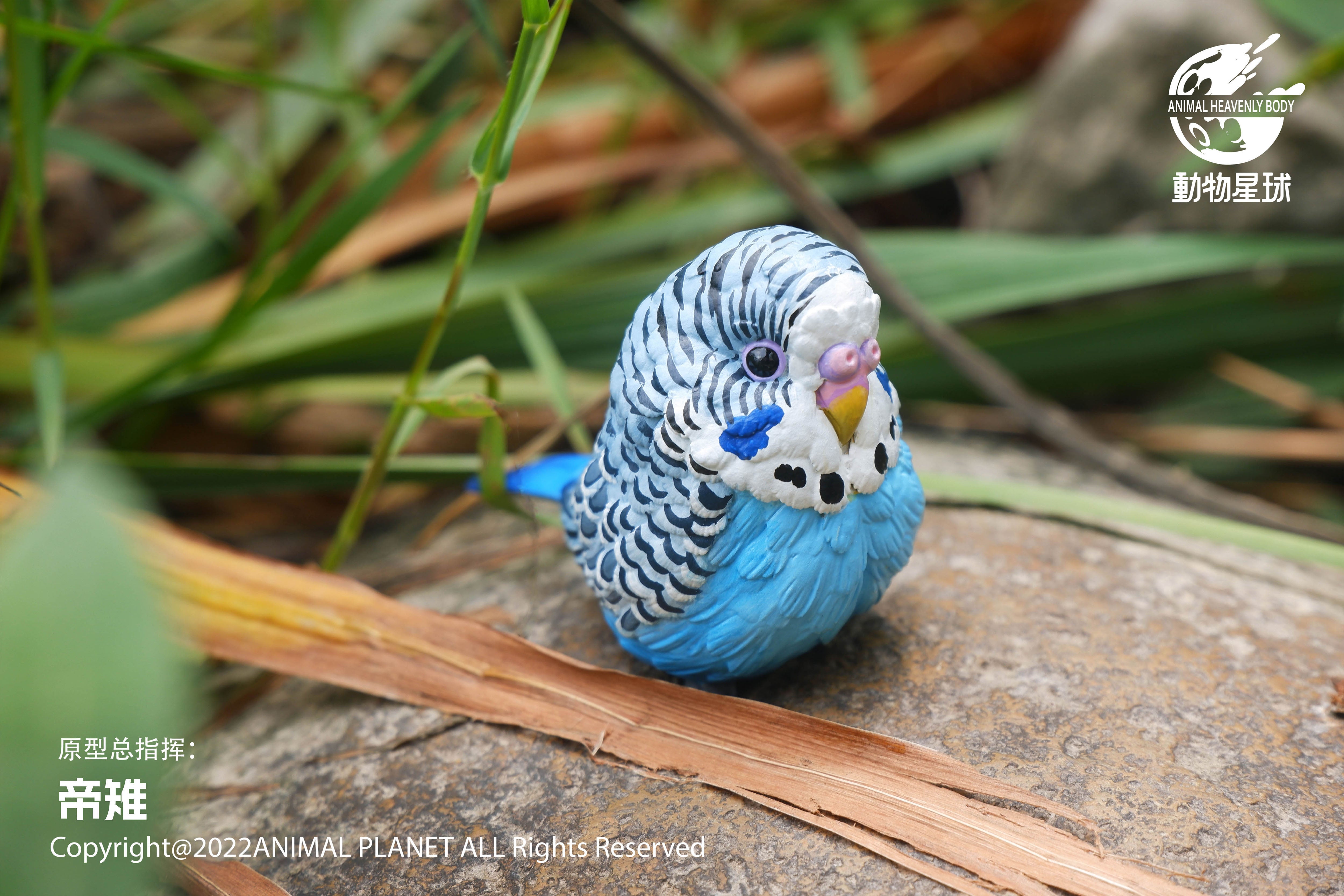 Animal Planet 10 Birds Blind Box Model