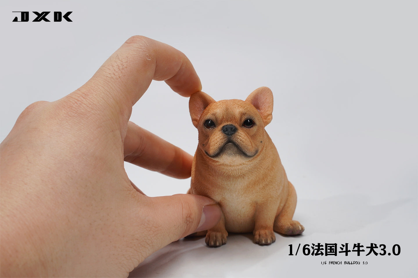 JXK 1/6 French Bulldog 3.0 Model