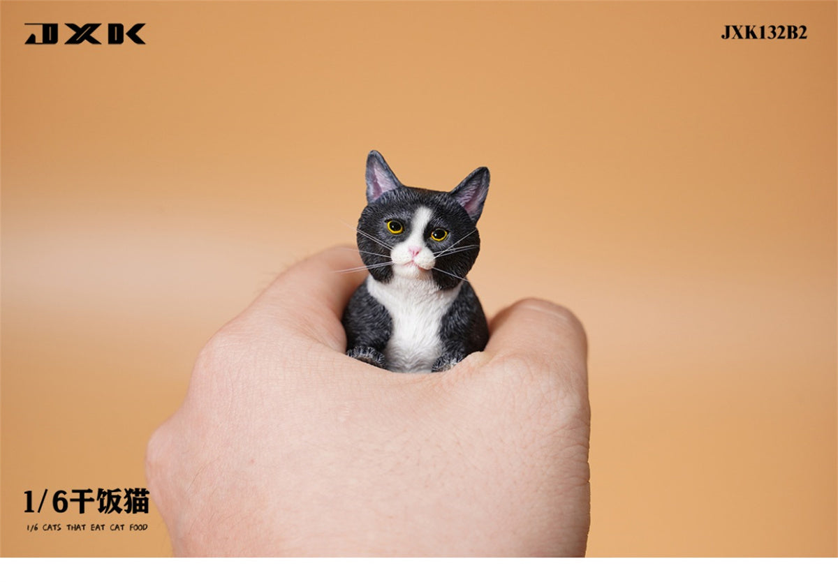 JXK 1/6 Cats That Eat Cat Food Model