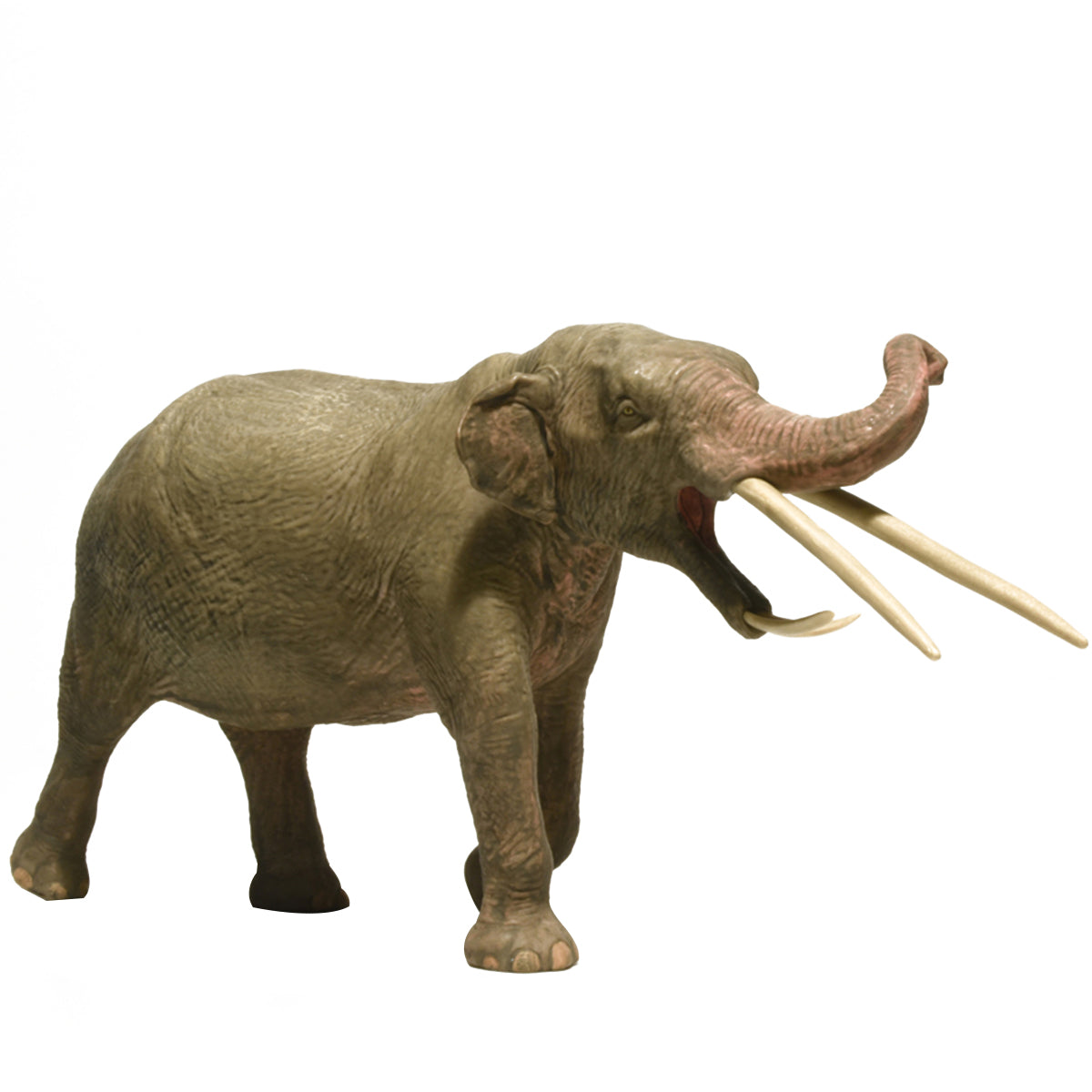 Eofauna 1:35 Scale Konobelodon Figure