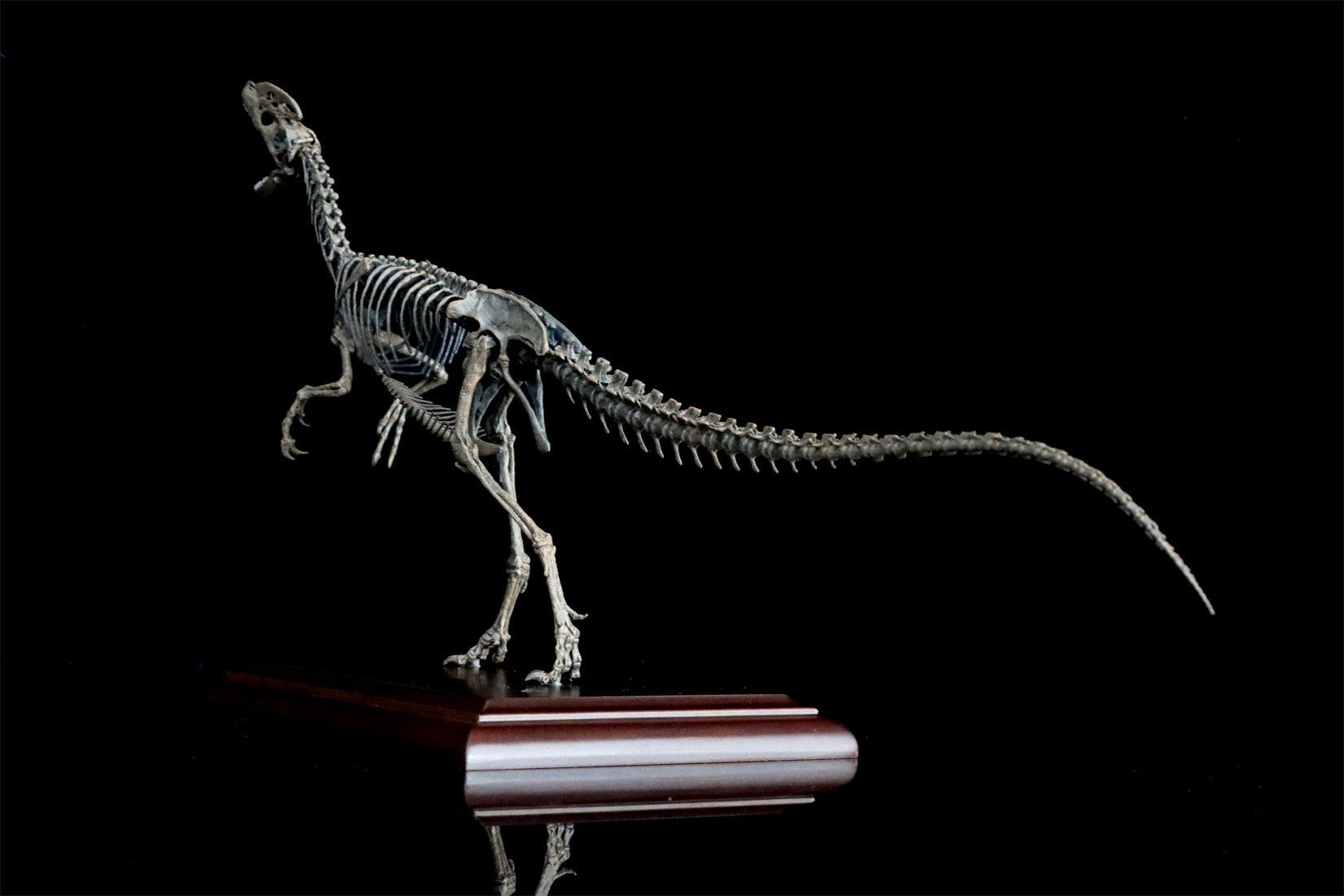 VWUVWU 1/10 Guanlong Wucaii Skeleton Model
