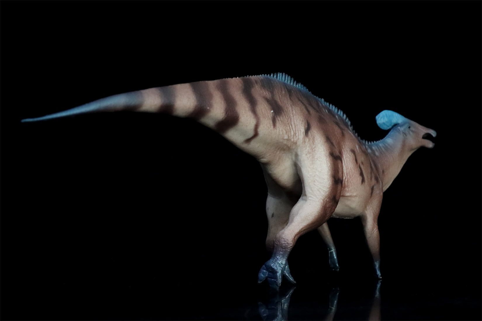 HAOLONGGOOD 1:35 Scale Tlatolophus galorum Model