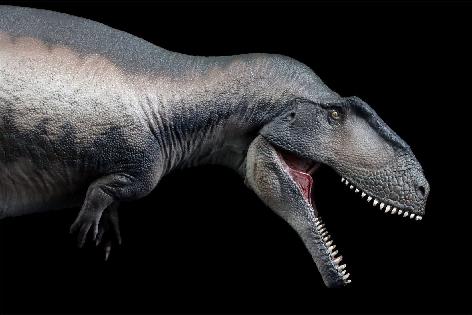 PNSO 68 Mapusaurus Mila Model