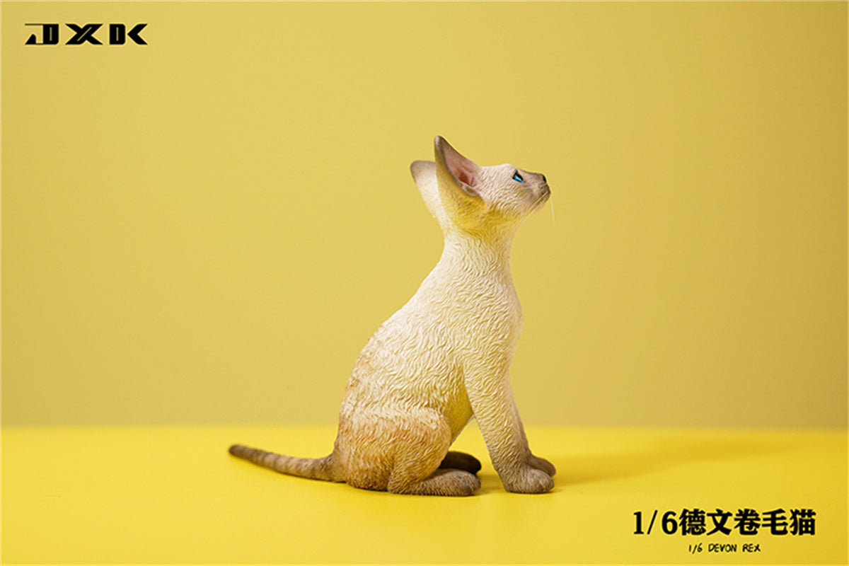 JXK 1/6 Devon Rex Model