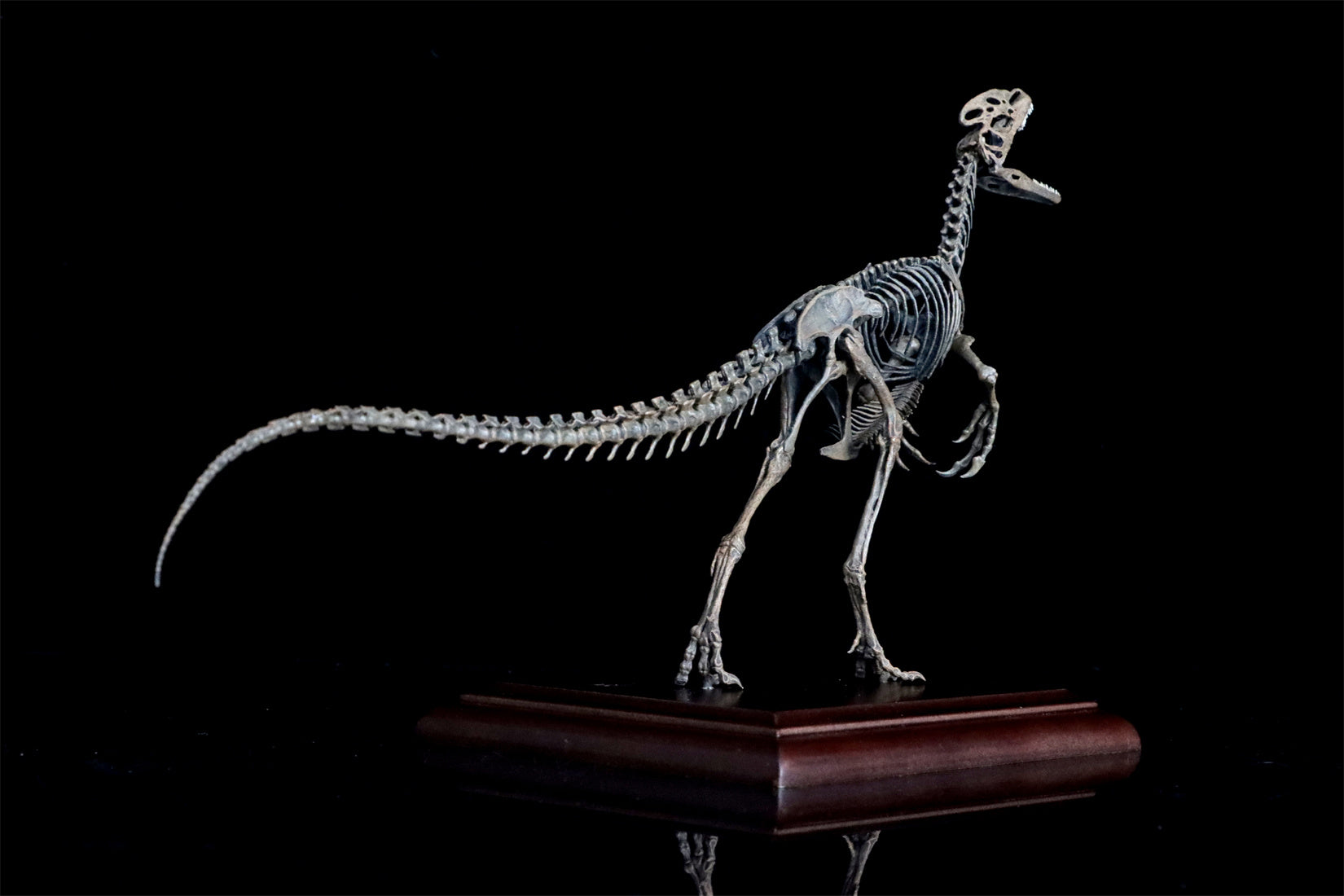 VWUVWU 1/10 Guanlong Wucaii Skeleton Model