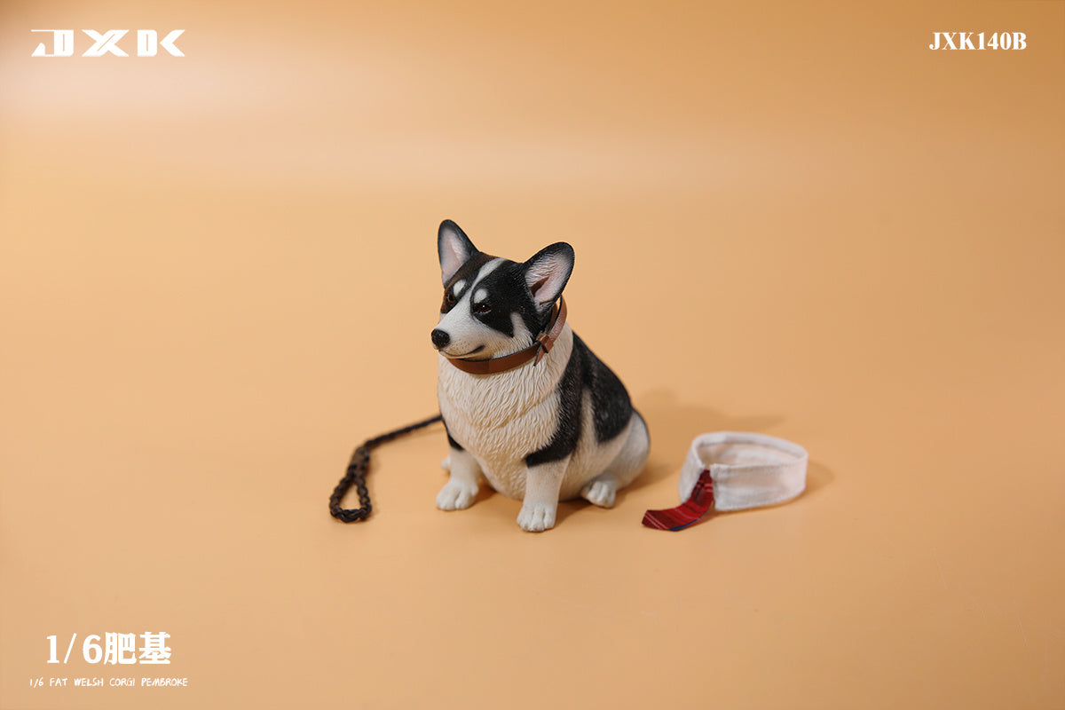 JXK 1/6 Fat Welsh Corgi Pembroke Model