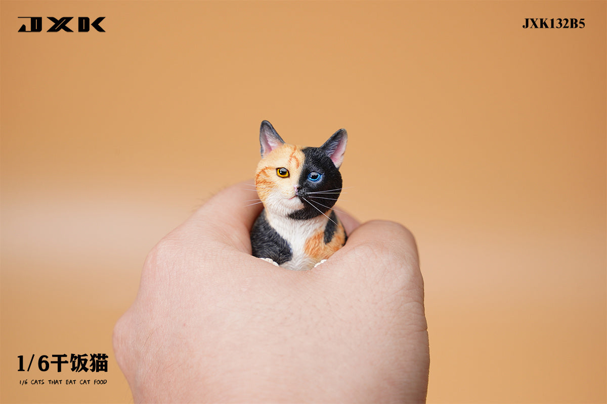 JXK 1/6 Cats That Eat Cat Food Model