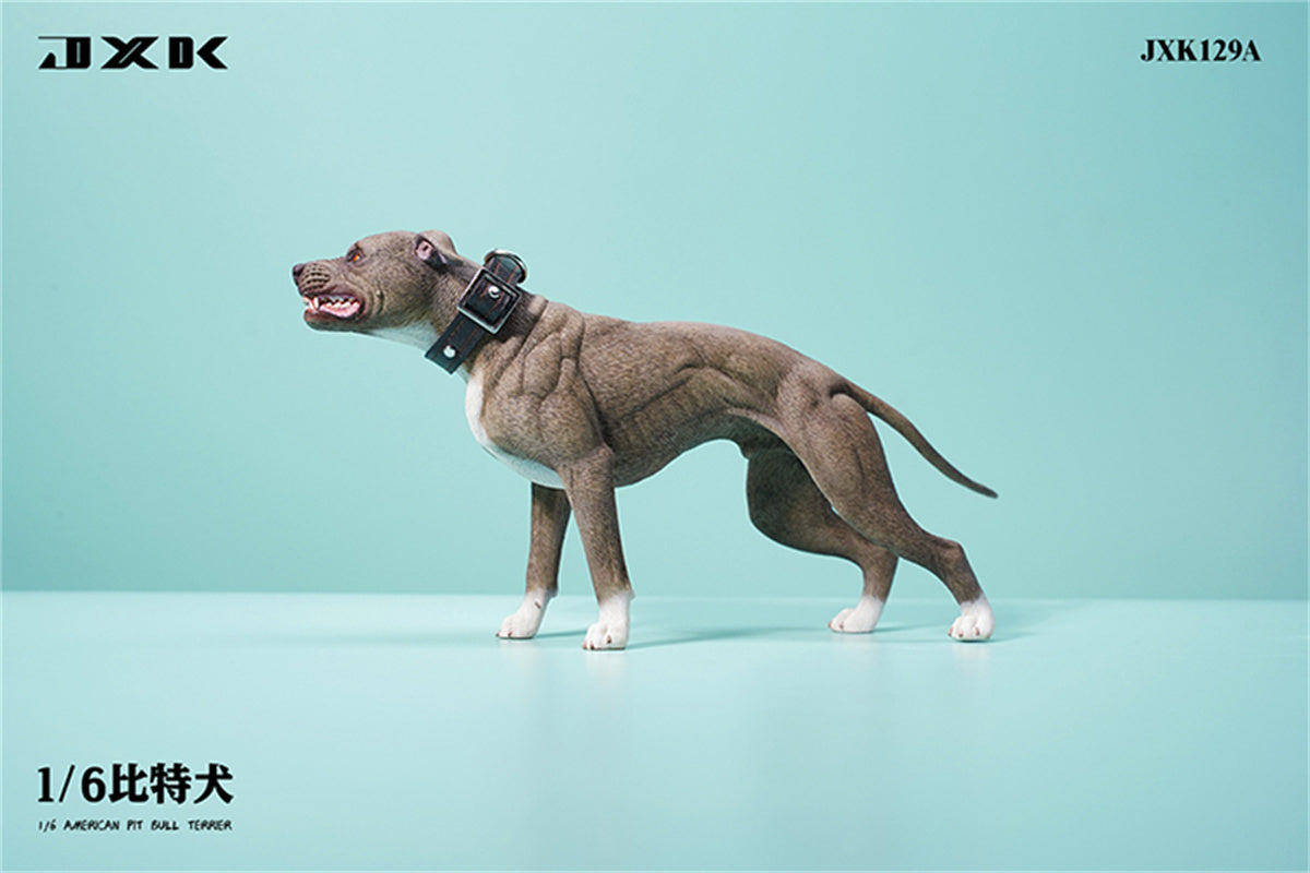 JXK 1/6 American Pit Bull Terrier Model