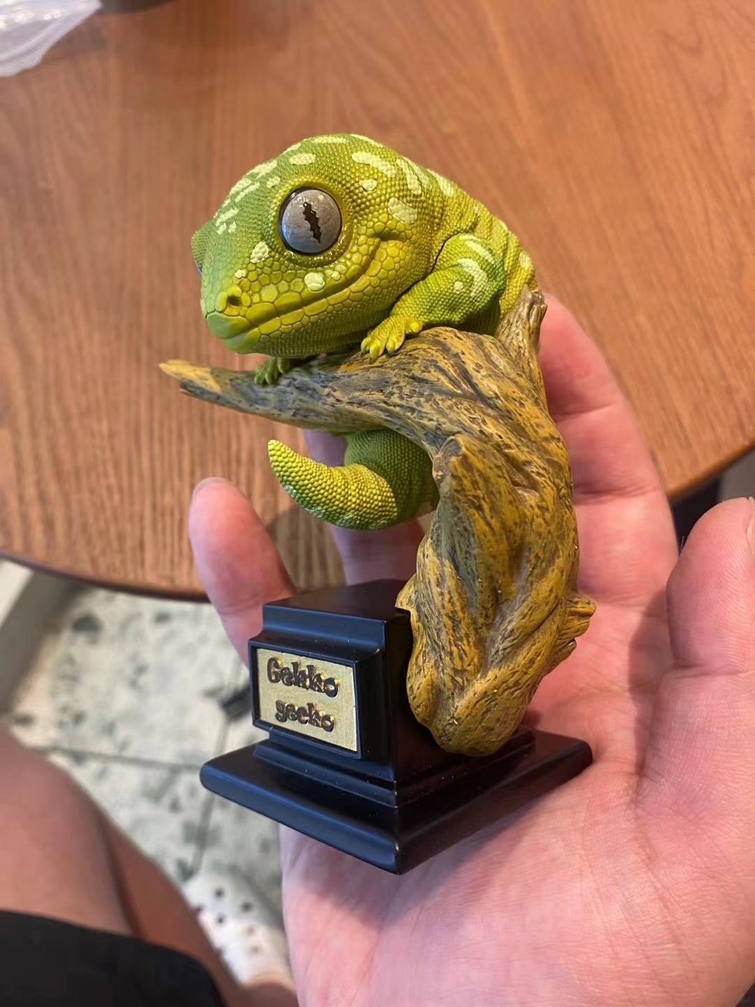 Pet Gekko Blind Box Model