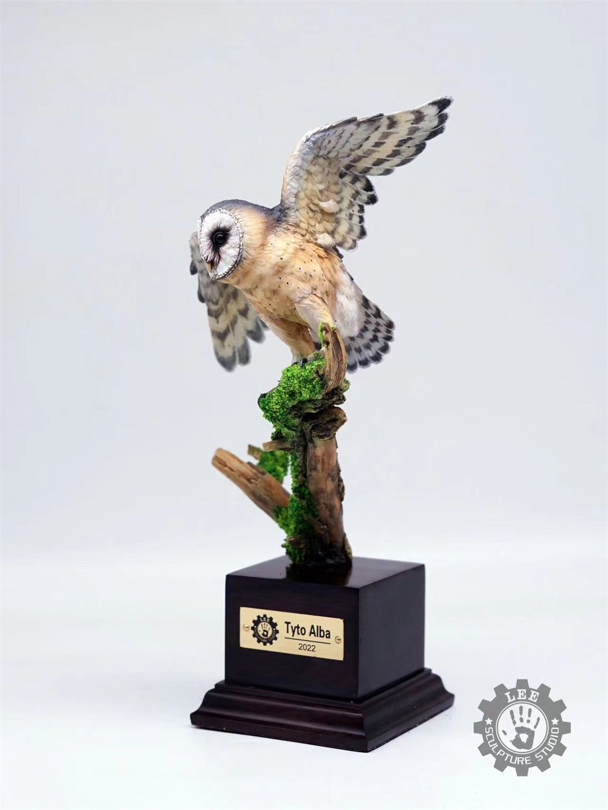 LEE 1/4 Tyto alba Model