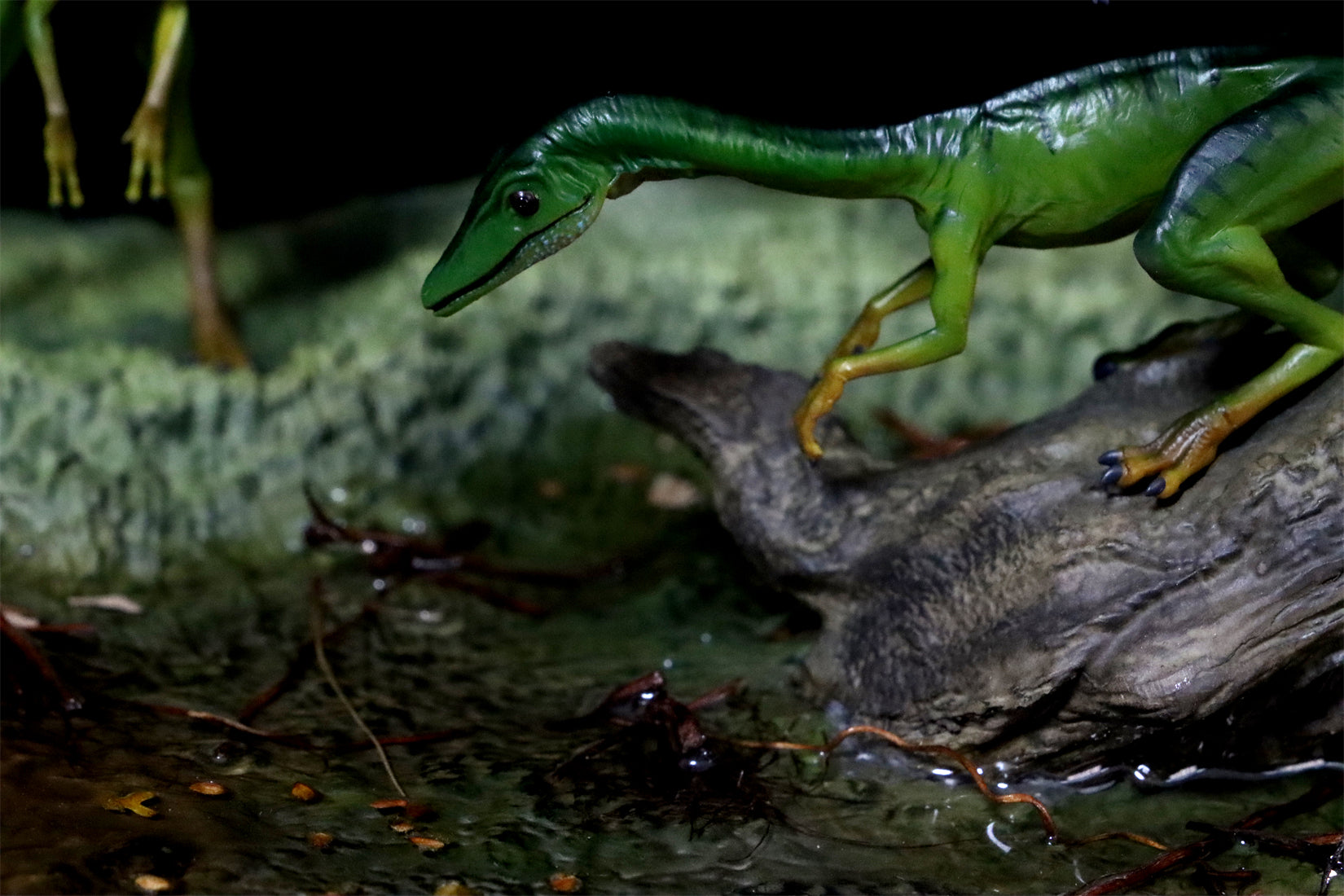 DINO DREAM 1/5 Scale Compsognathus Statue