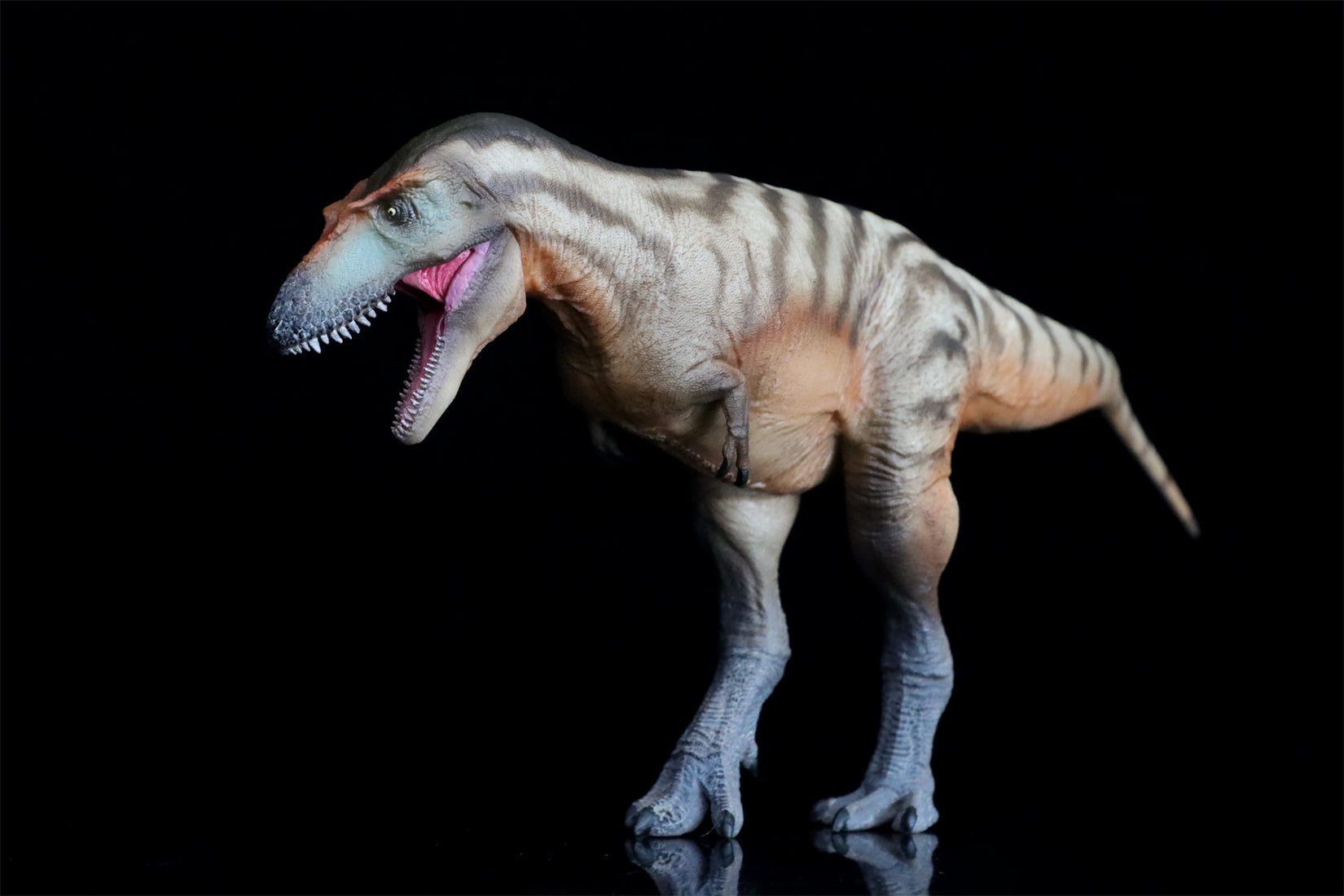 PNSO Gorgosaurus Tristan Model