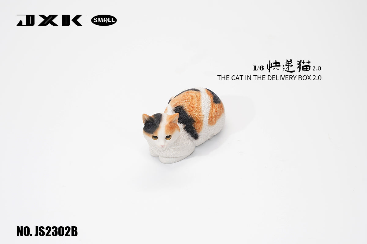 JXK Small The Cat In The Delivery Box 2.0 Model